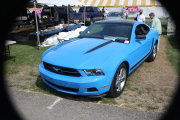MUSTANG